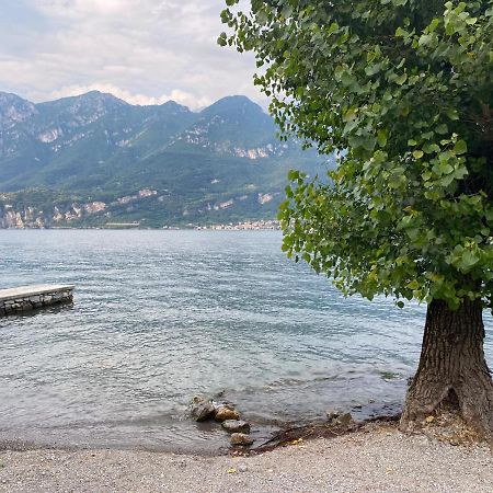Al Cottage Oliveto Lario Экстерьер фото